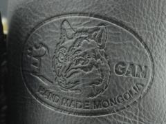  -   GAN